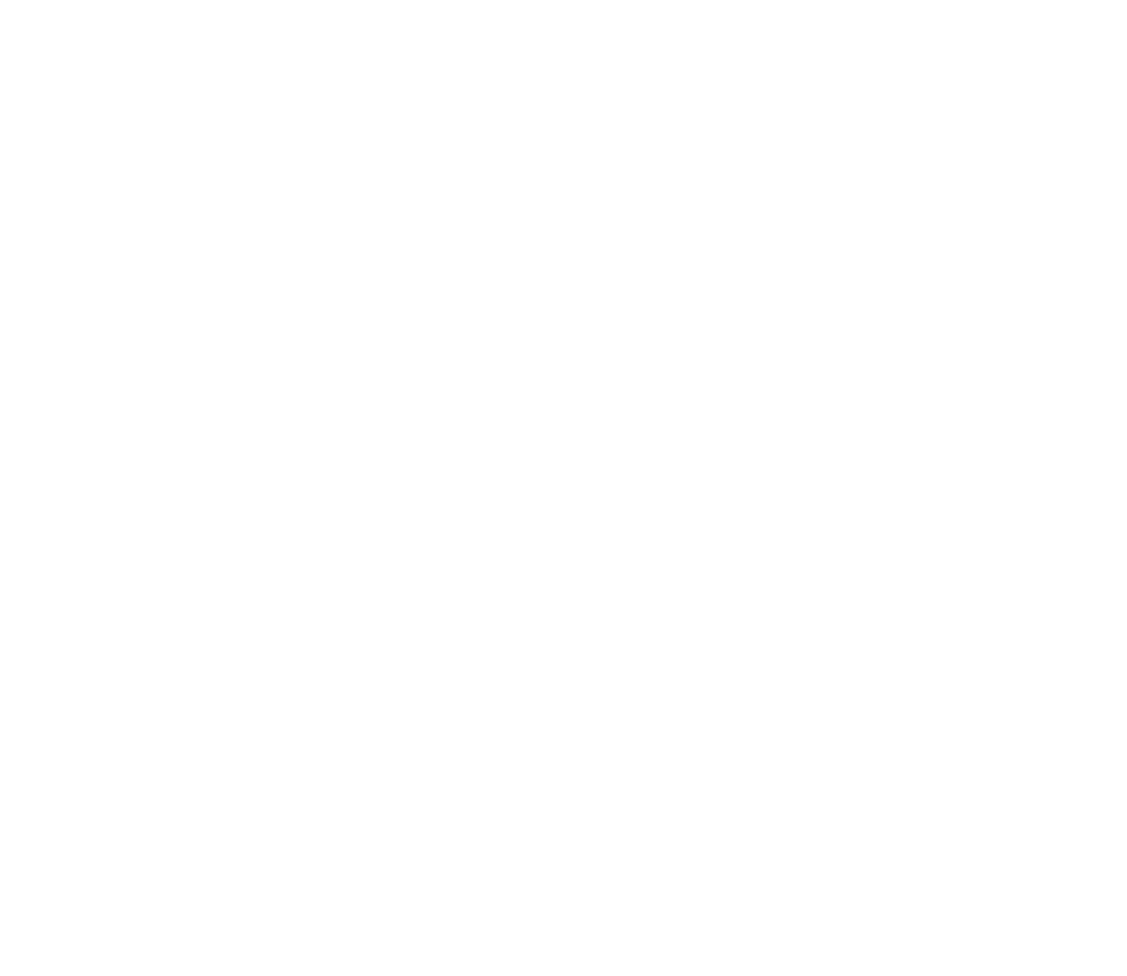 20 ans d'expérience au service des affaires publiques